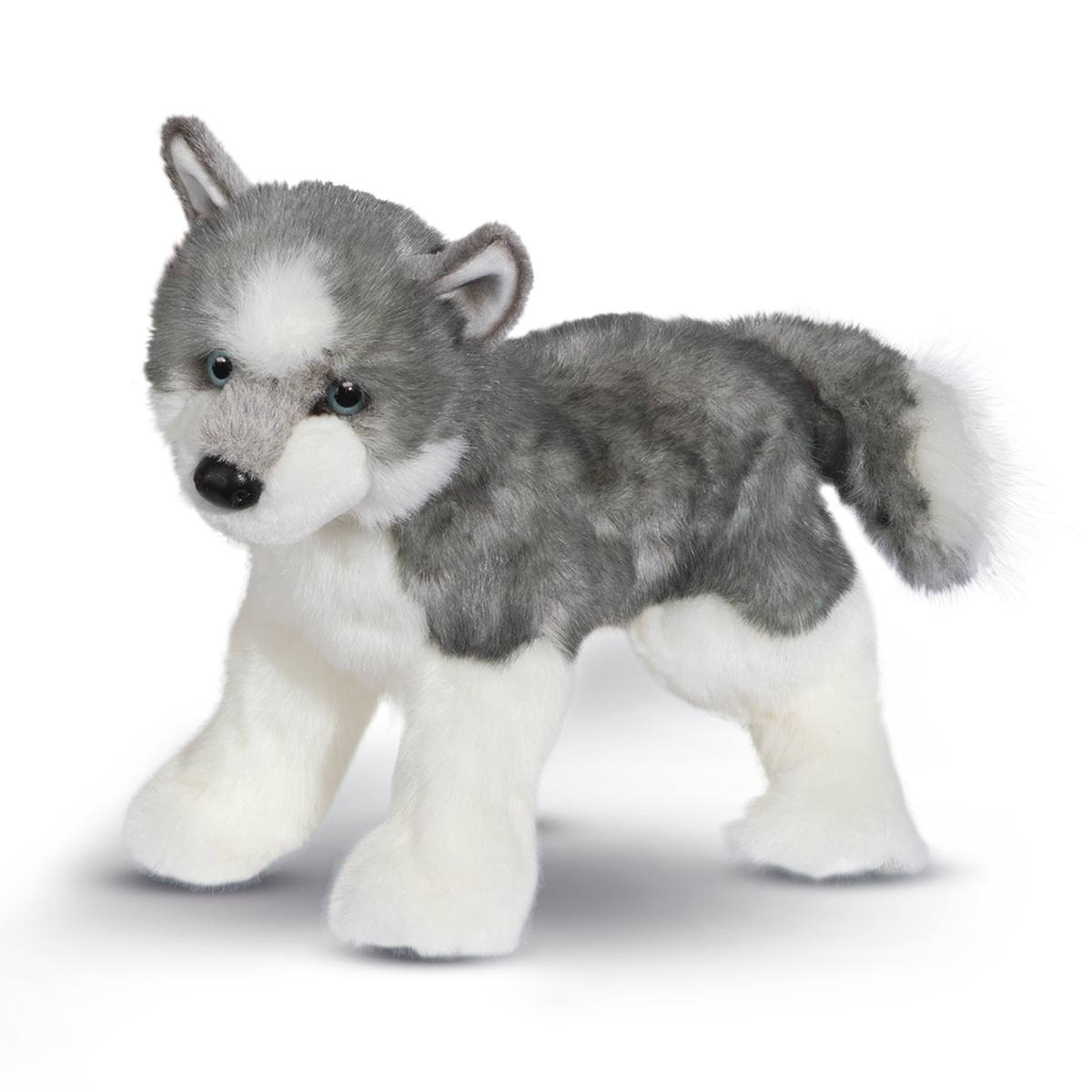 Sasha Husky    