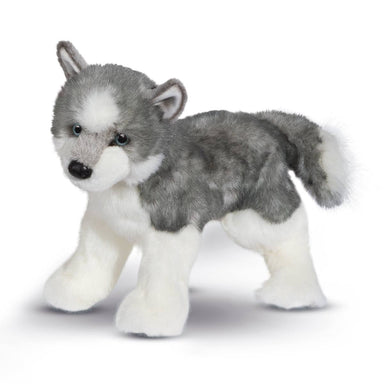 Sasha Husky    