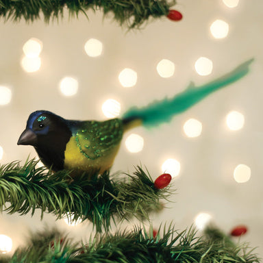 Old World Christmas Green Jay Clip On Ornament    