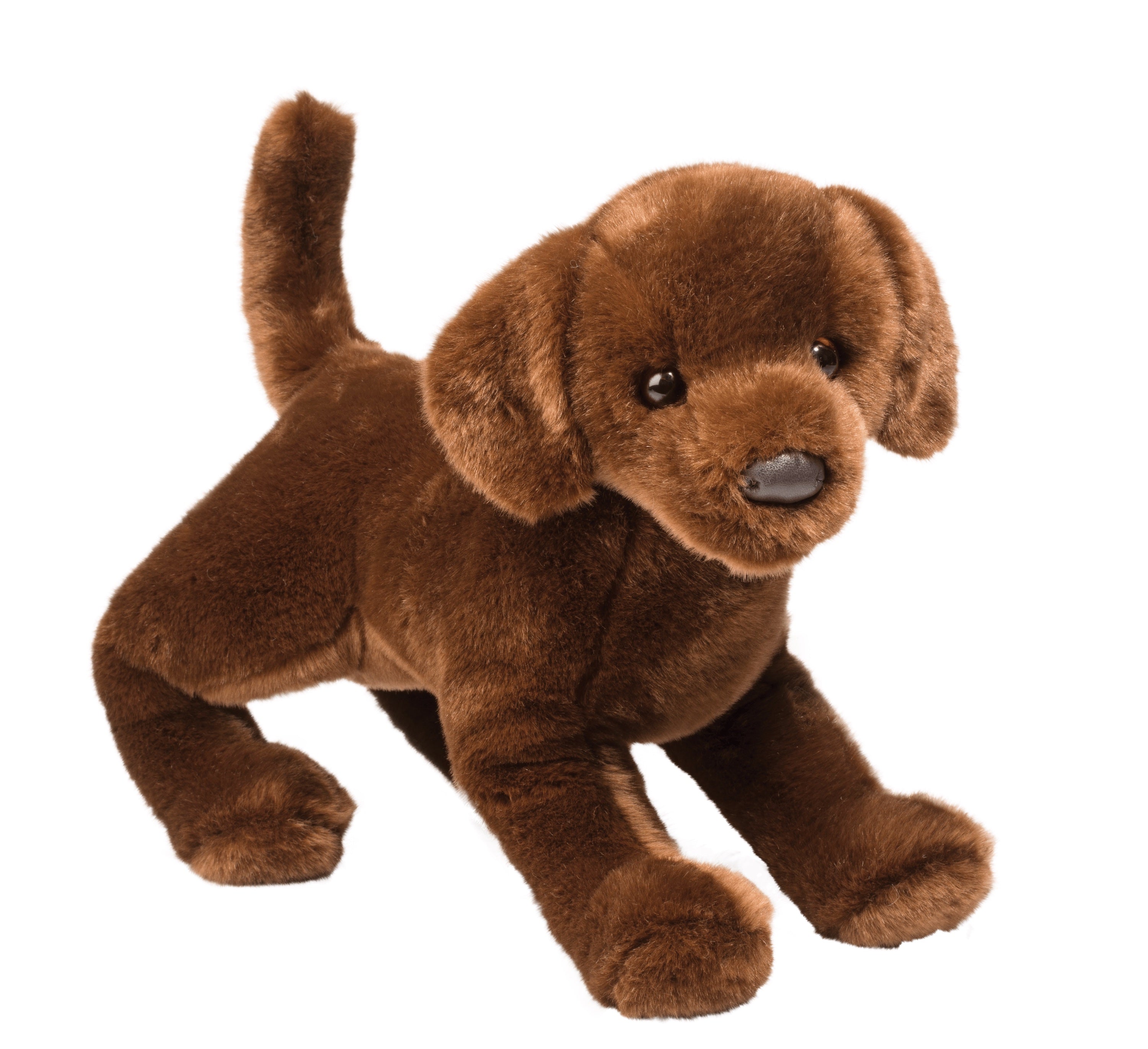 Cocoa Chocolate Lab    
