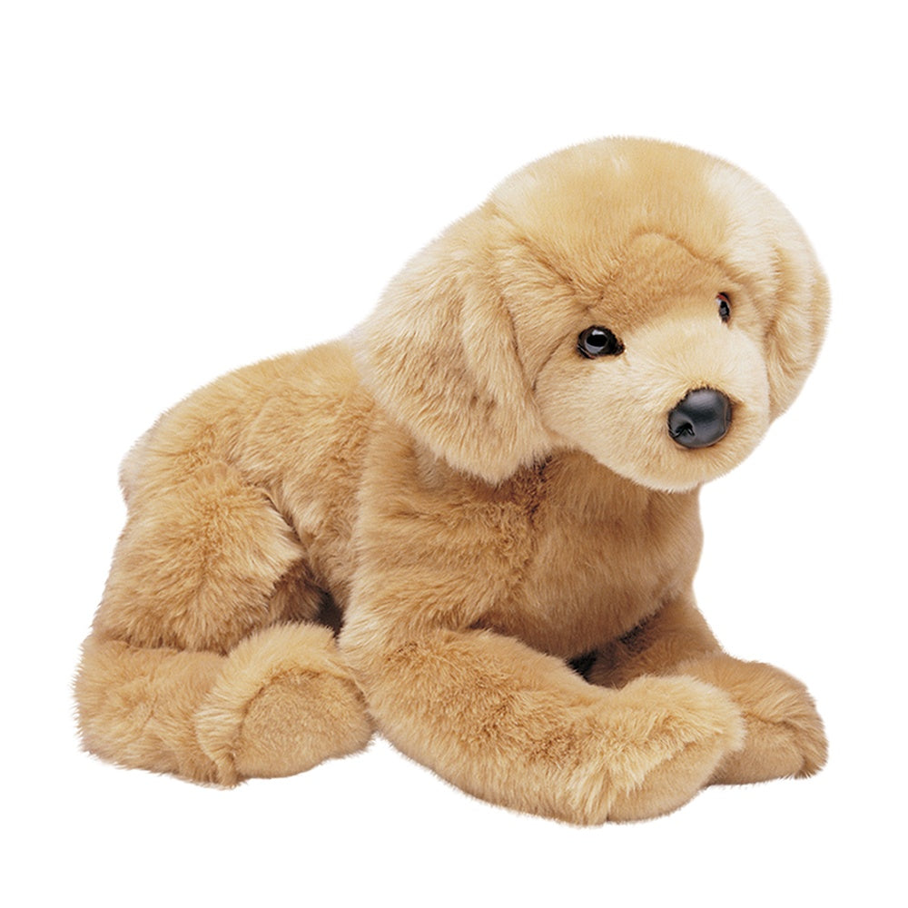 Honey Golden Retriever    