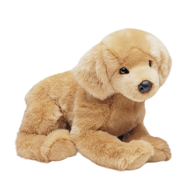 Honey Golden Retriever    