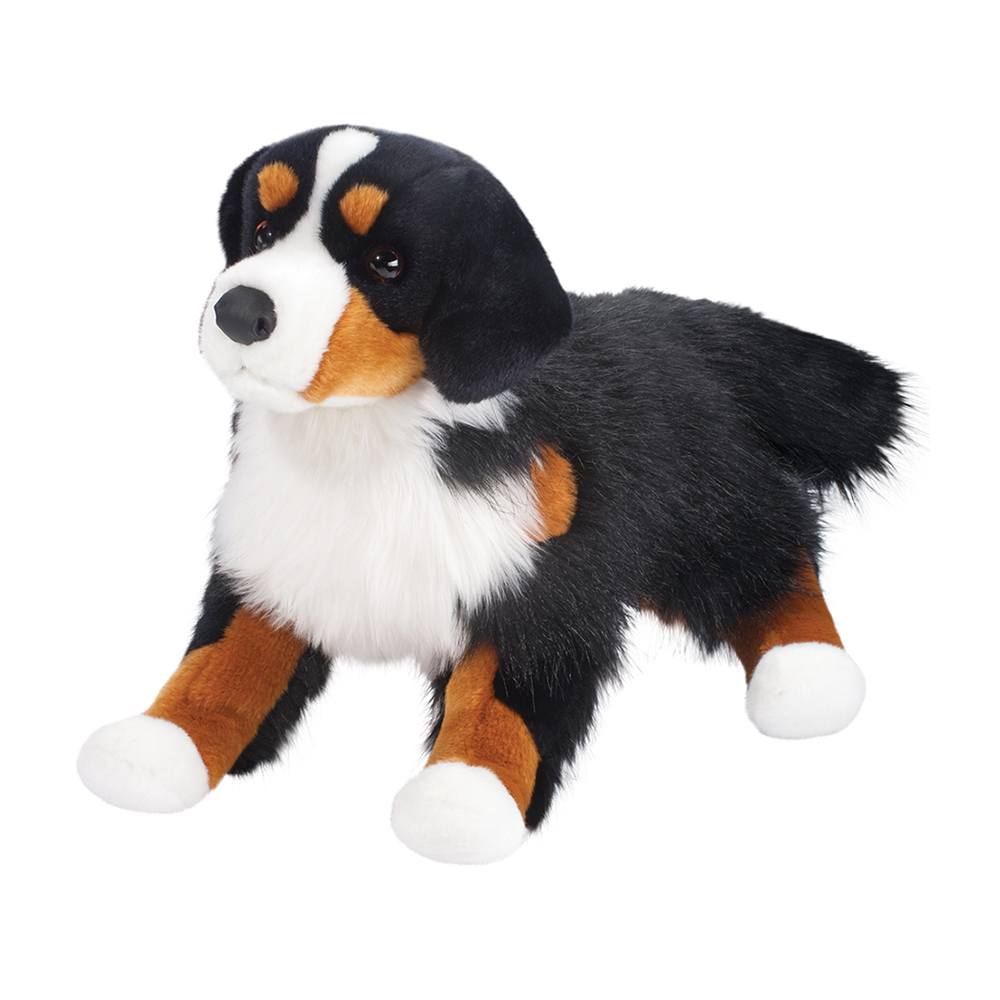 Alps Bernese Mountain Dog    