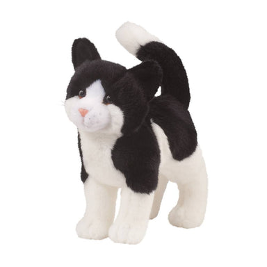 Scooter Black & White Cat    