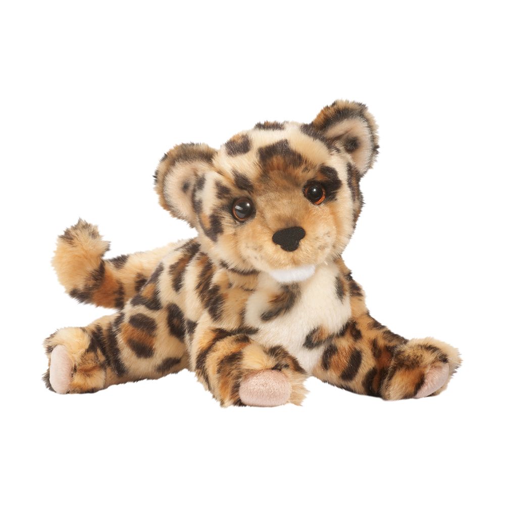 Spatter Leopard    