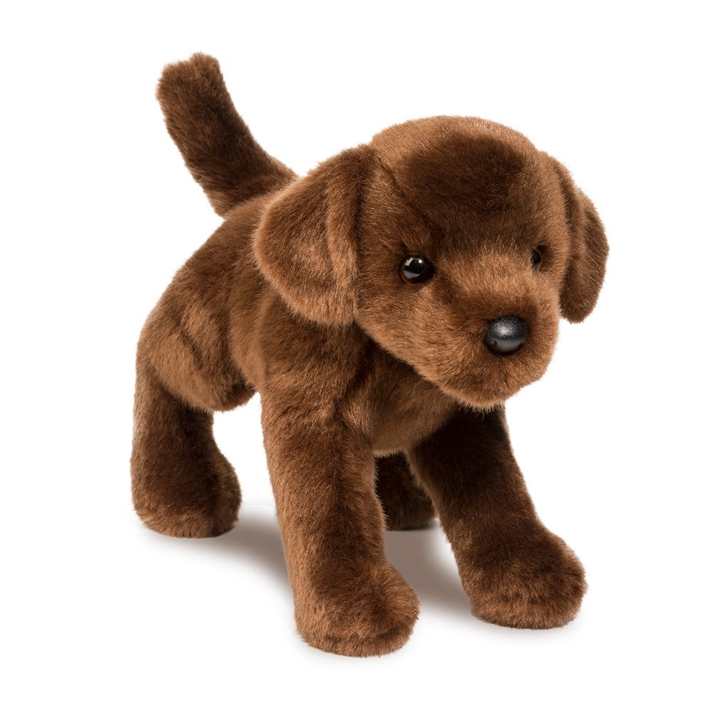 C.C. Bean Chocolate Lab    