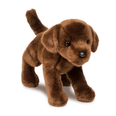 C.C. Bean Chocolate Lab    