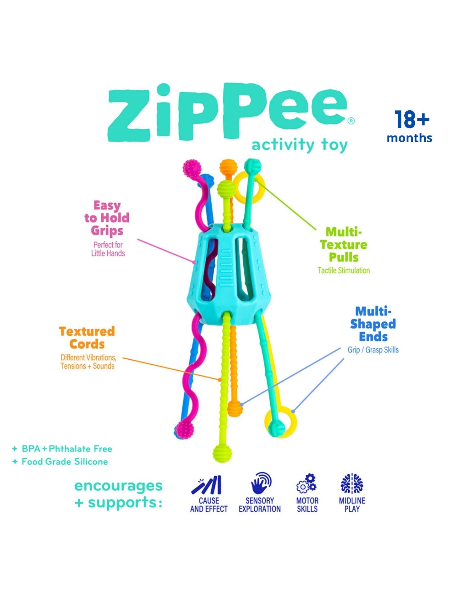 Zippee Activity Toy    