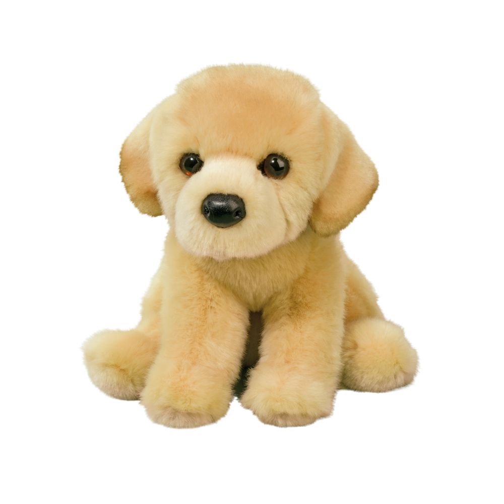 Duffy Yellow Lab    
