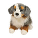 Sinclair Australian Shepherd    