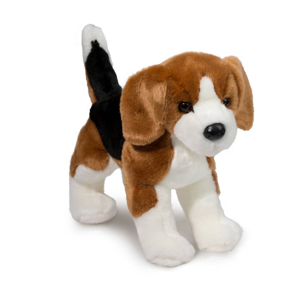 Bernie Beagle    