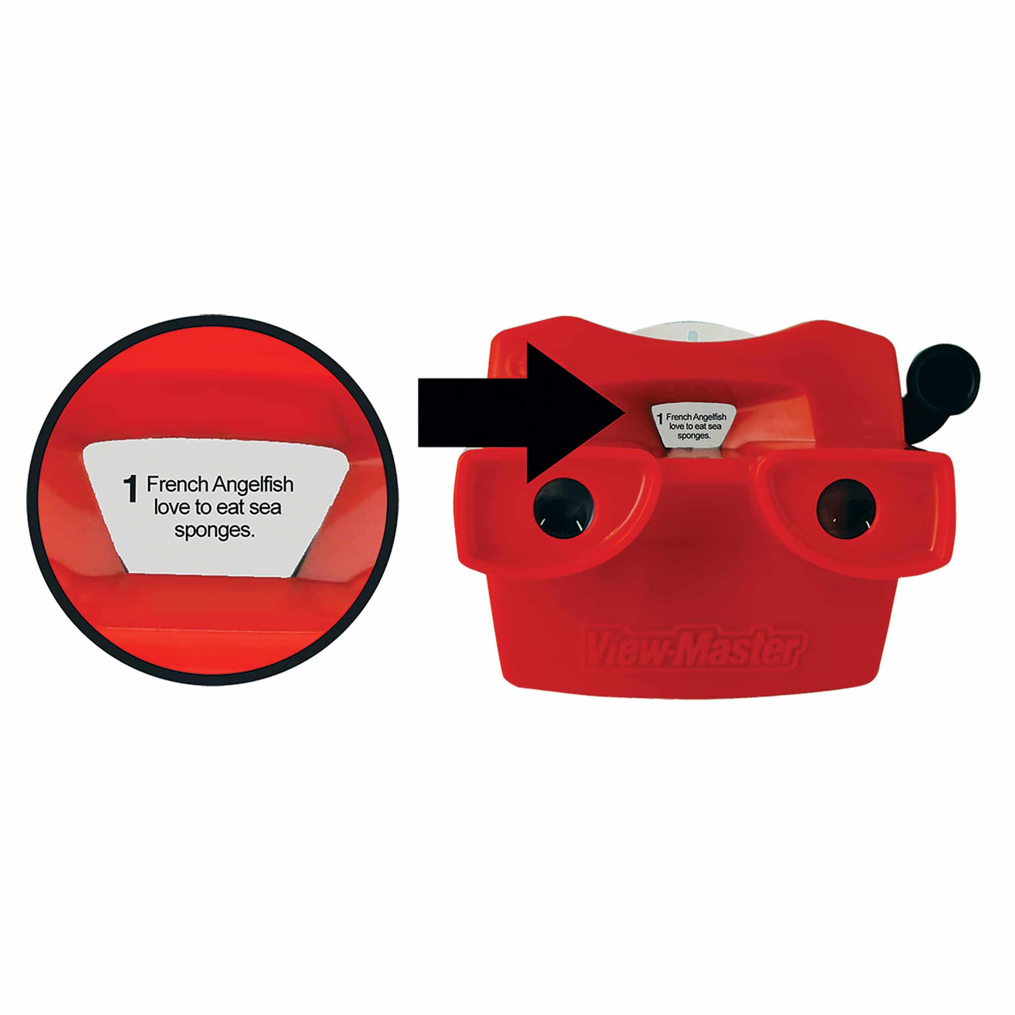 View Master Classic    