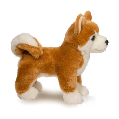 Dunham Shiba Inu    