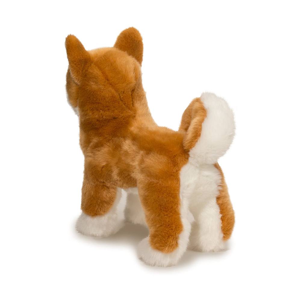 Dunham Shiba Inu    