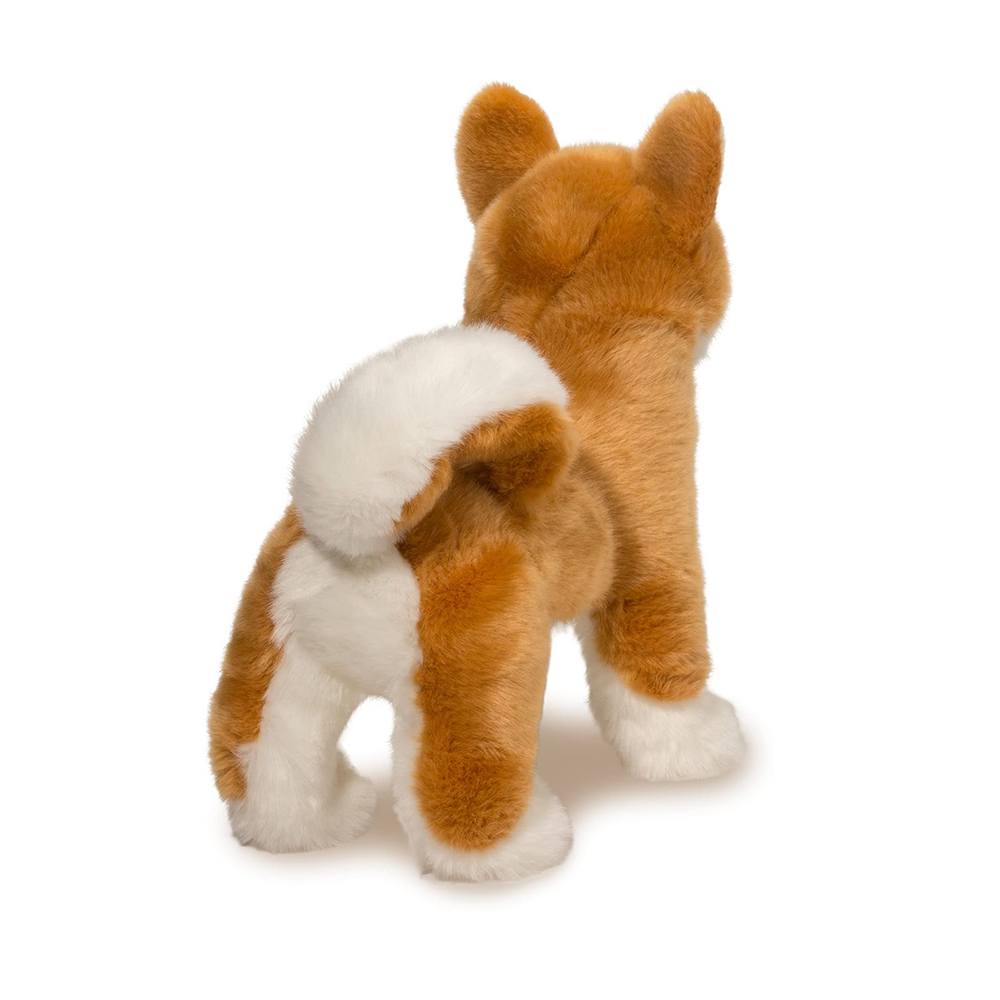 Dunham Shiba Inu    