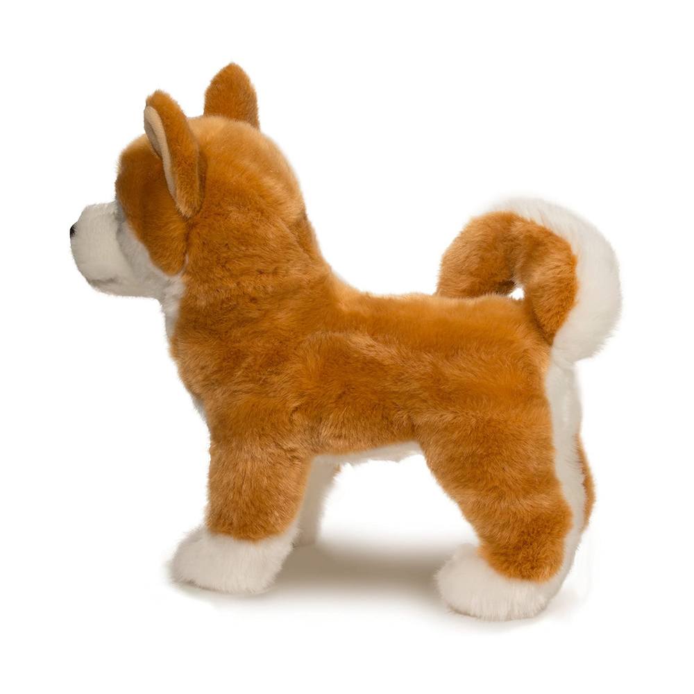 Dunham Shiba Inu    