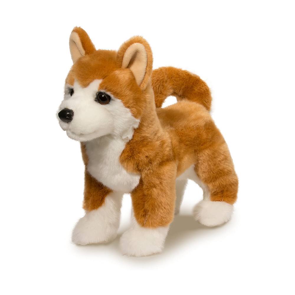 Dunham Shiba Inu    