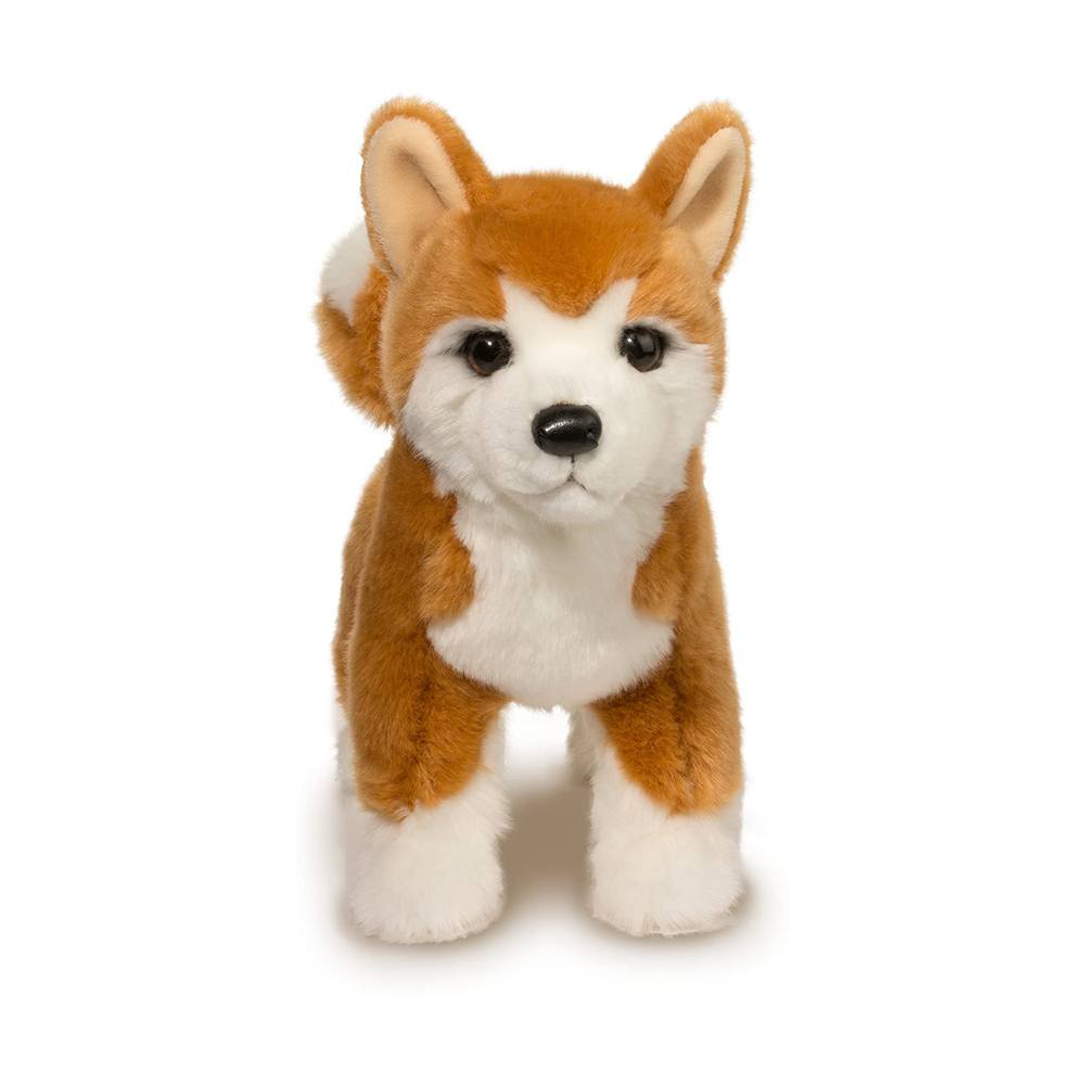 Dunham Shiba Inu    