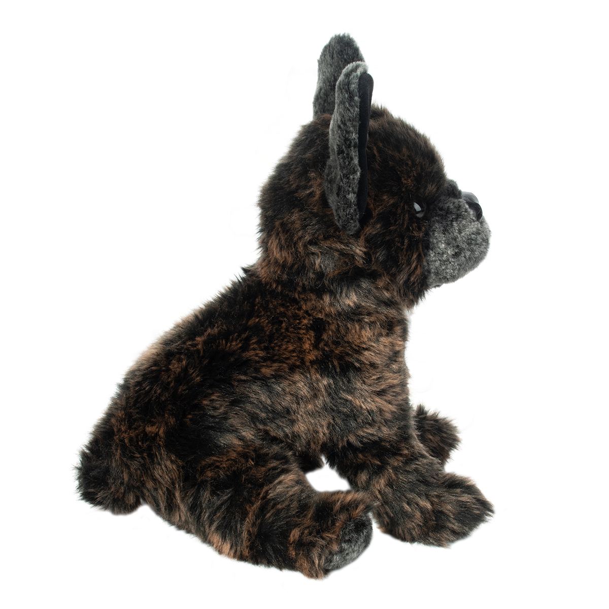 Billie French Bull Dog    