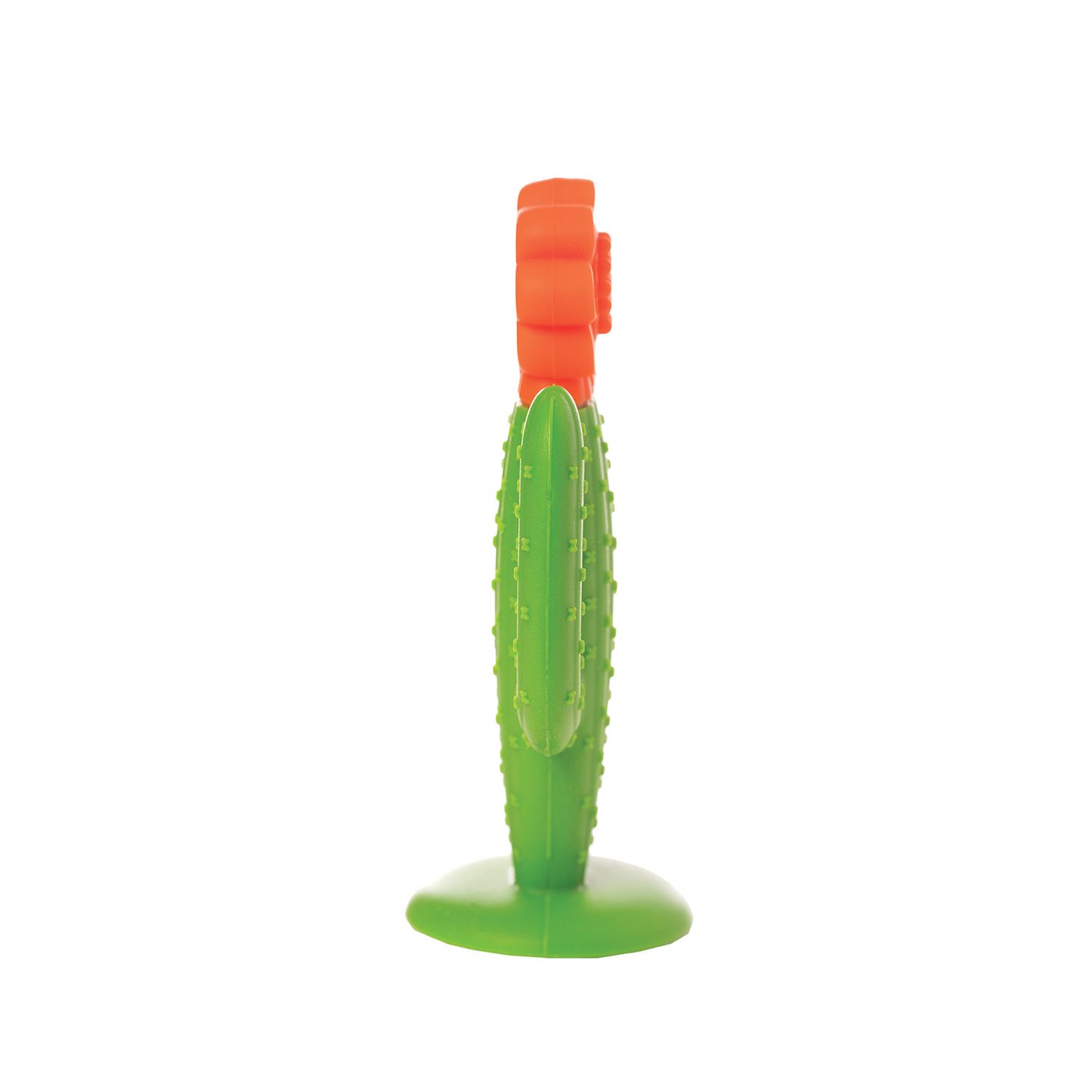 Silicone Teether - Cactus    