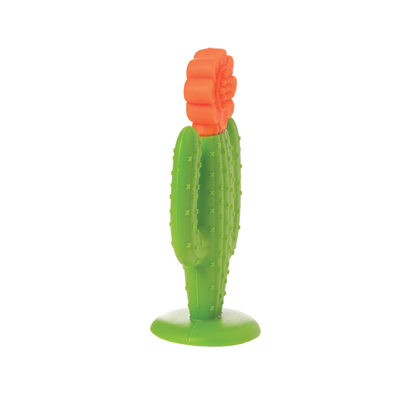 Silicone Teether - Cactus    