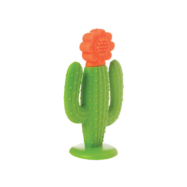 Silicone Teether - Cactus    