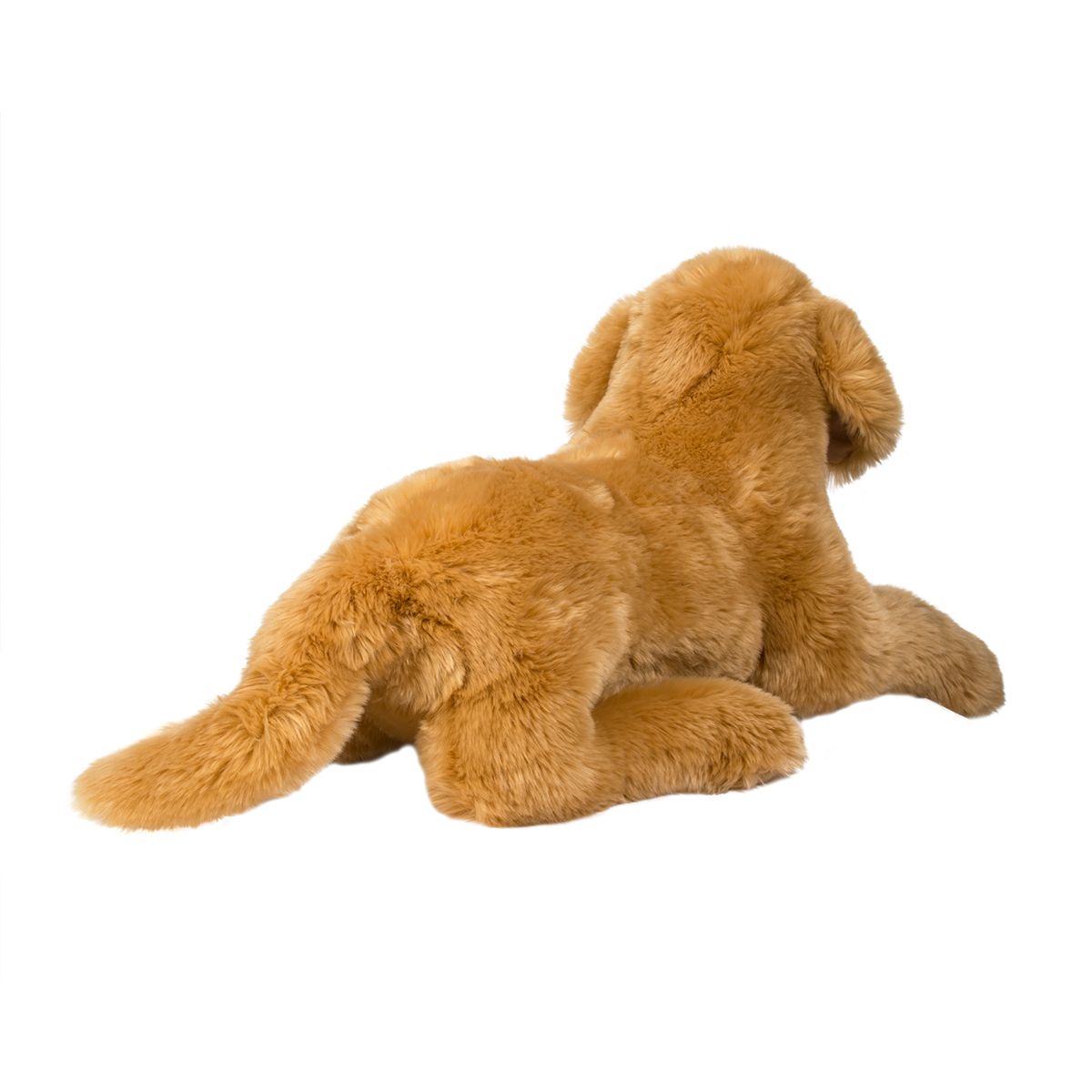 Sherman Golden Retriever - Medium    