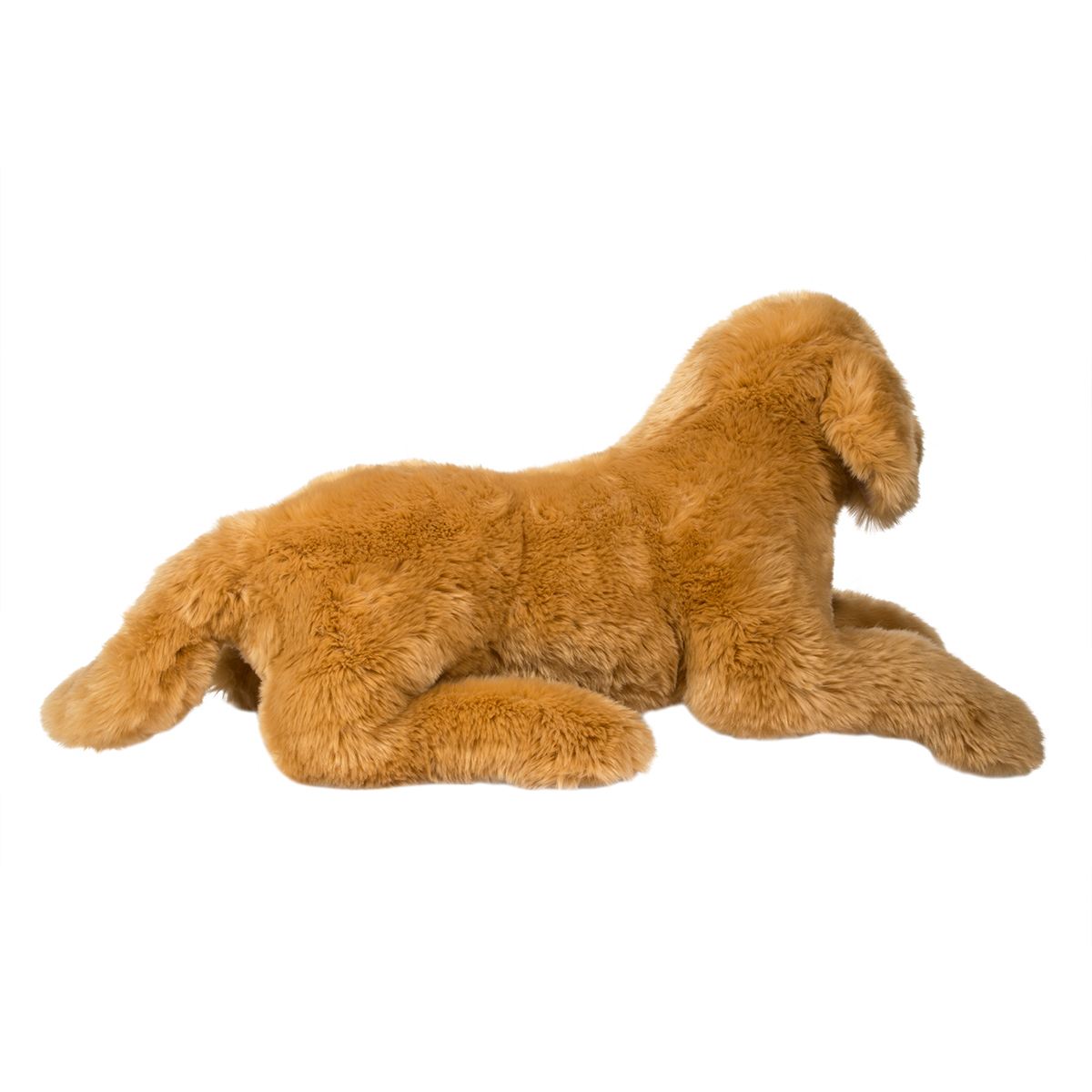 Sherman Golden Retriever - Medium    
