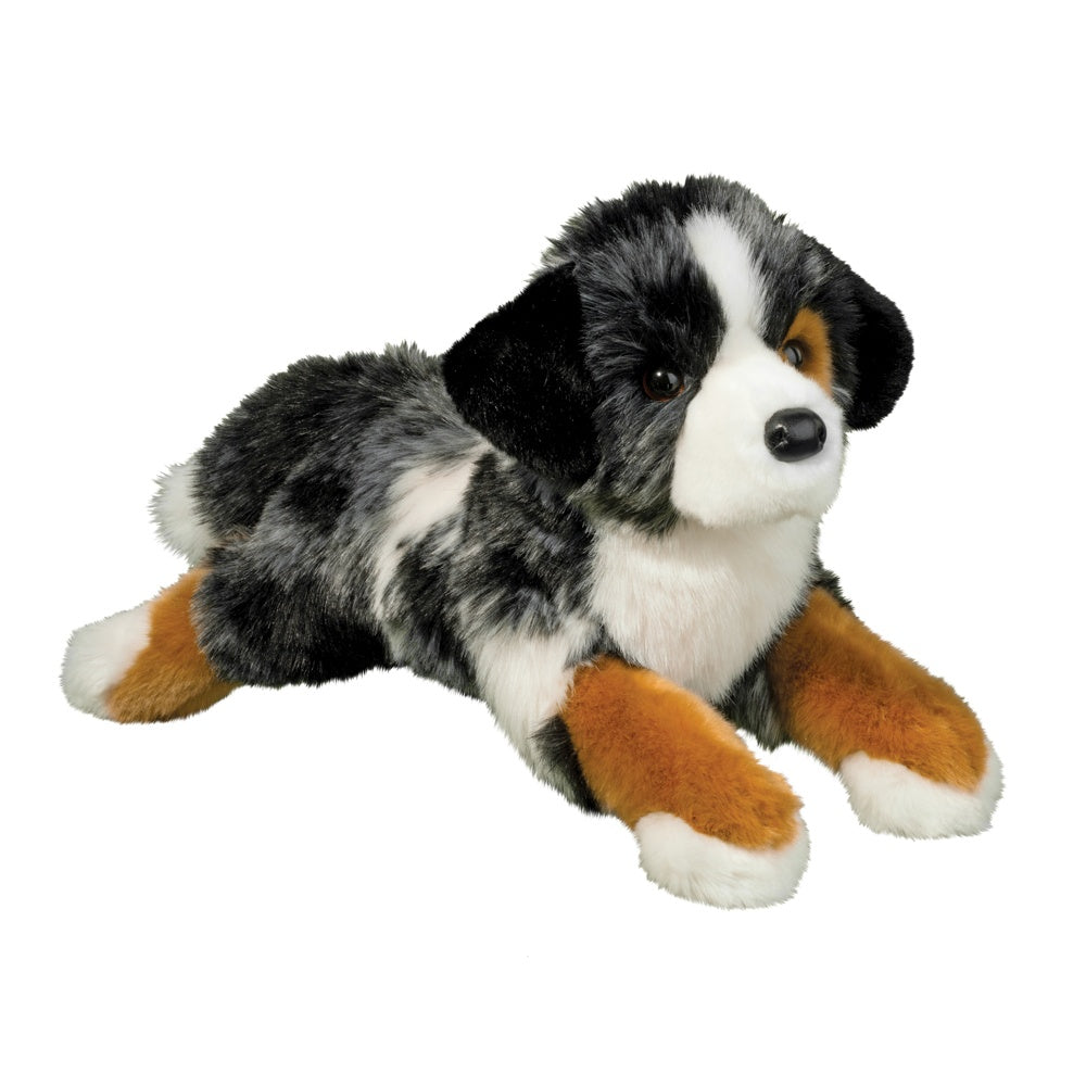 Maizie Australian Shepherd    