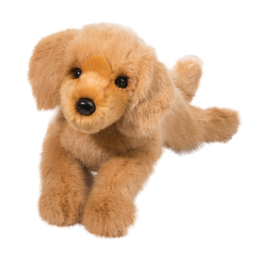 Oakley Golden Retriever    