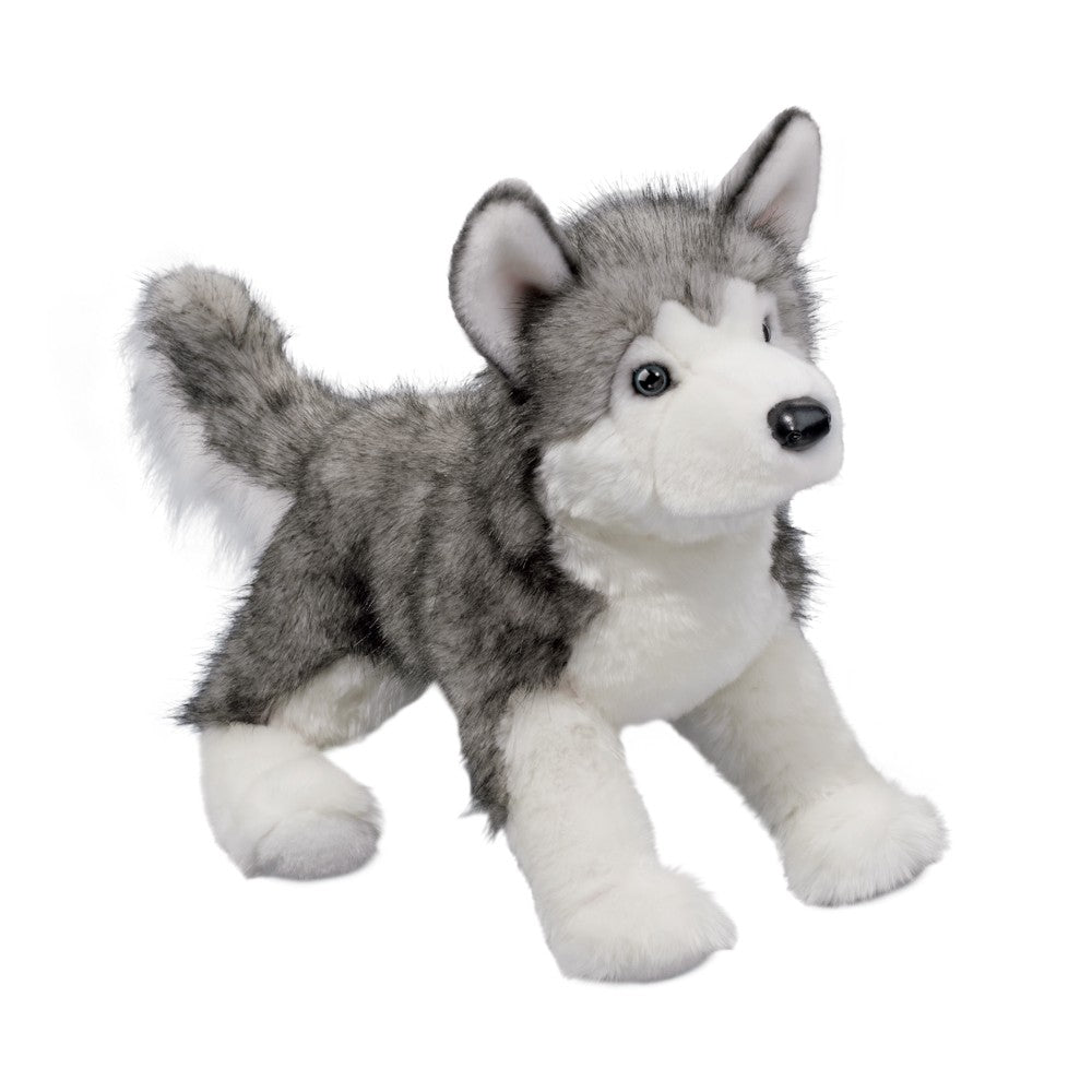 Lobo Husky Dog    