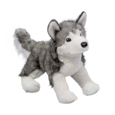 Lobo Husky Dog    