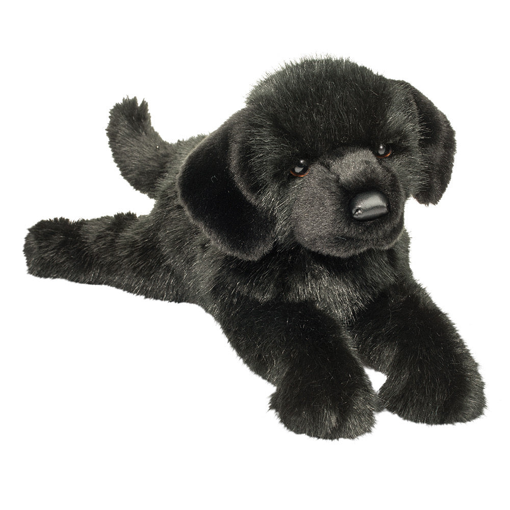 Jake Black Lab    