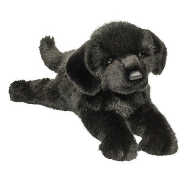 Jake Black Lab    