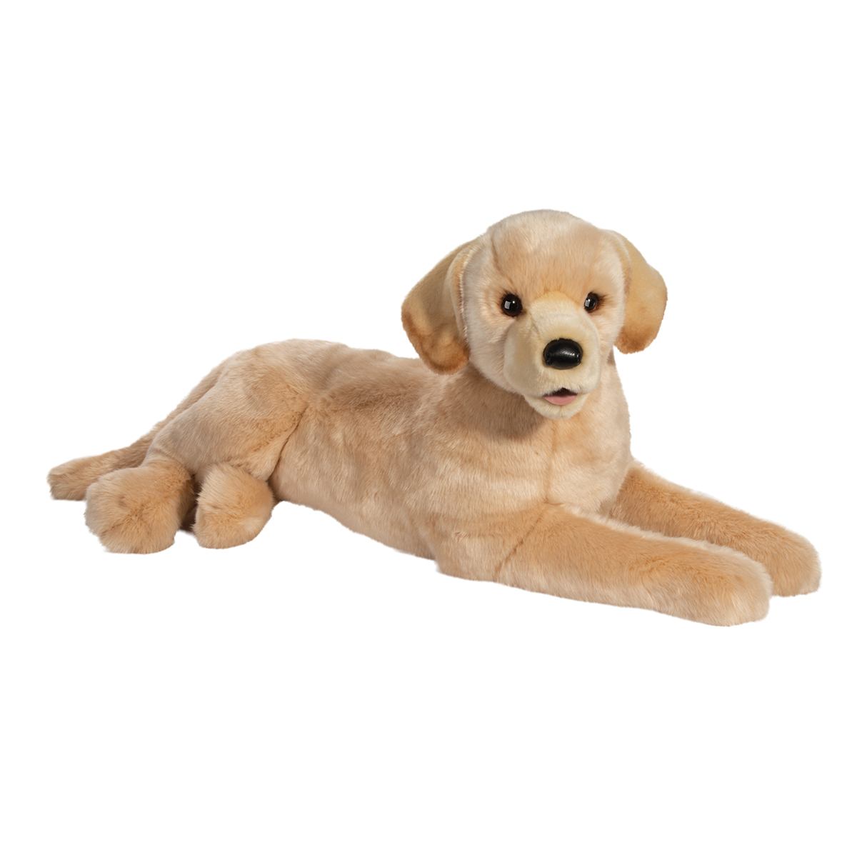 Sadie Yellow Lab    