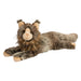 Oscar Maine Coon Cat    