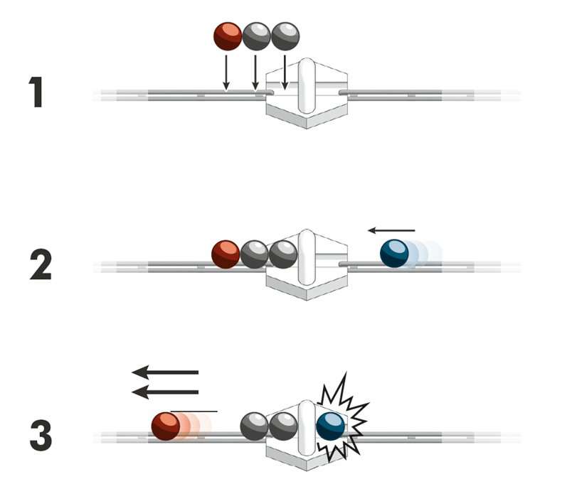 GraviTrax Expansion: Magnetic Cannon