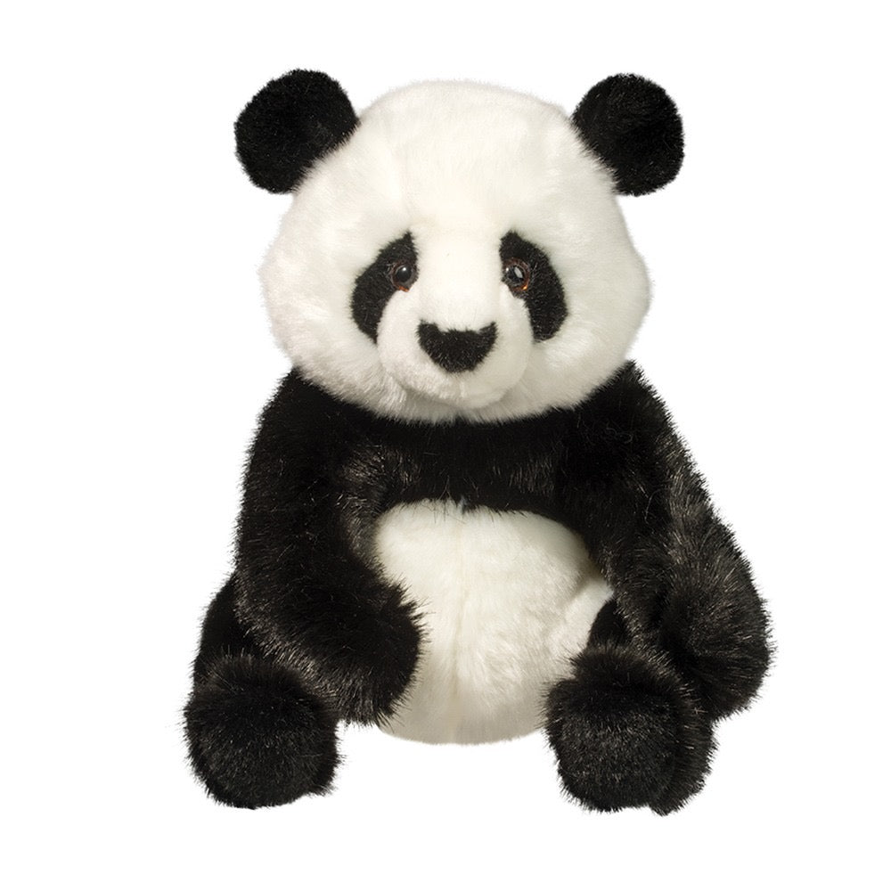 Paya Panda    
