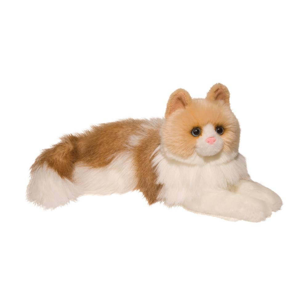 Kiki Ragdoll Cat    
