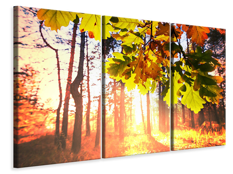 3-piece-canvas-print-autumn