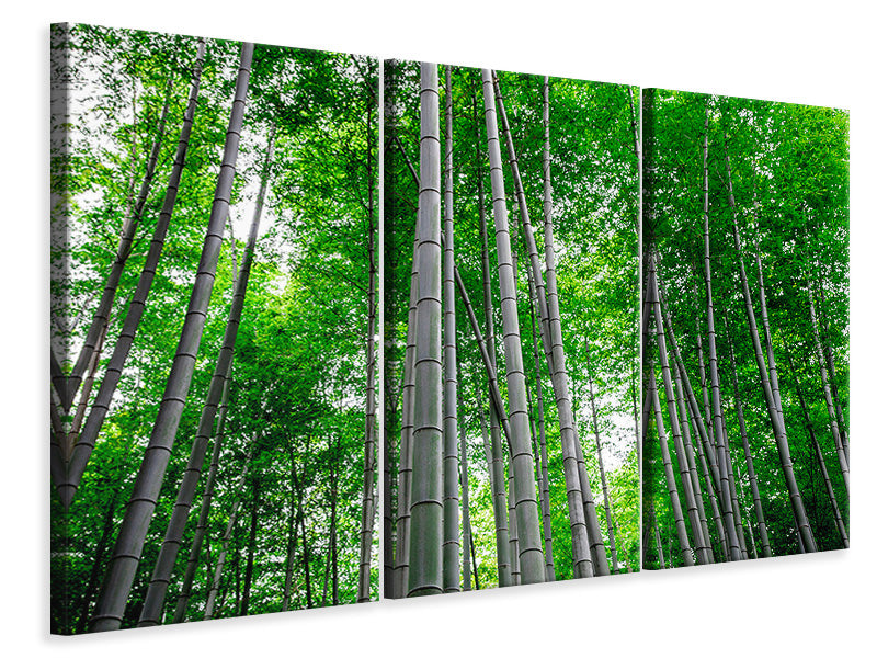 3-piece-canvas-print-bamboo-forest