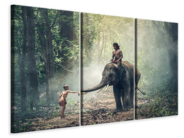 3-piece-canvas-print-the-elephant-at-work