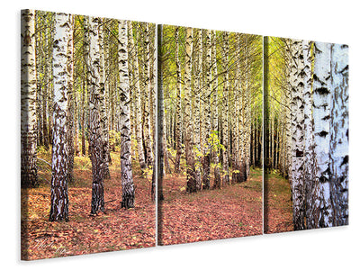3-piece-canvas-print-the-path-between-birches