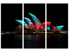 3-piece-canvas-print-vivid