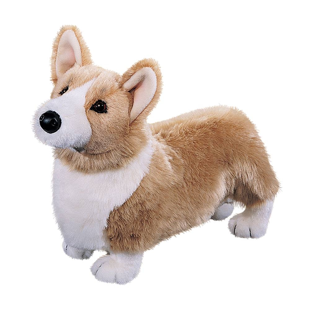 Chadwick Corgi    