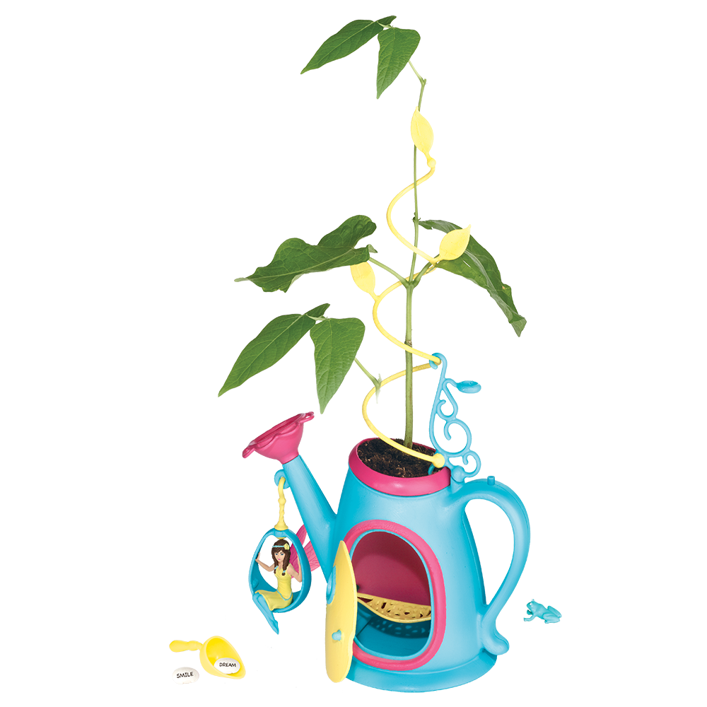 Bean Blossom Fairy Garden    