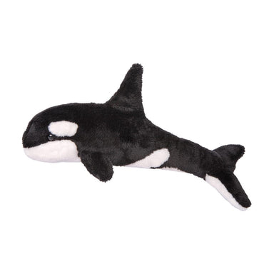 Spout Orca Whale    