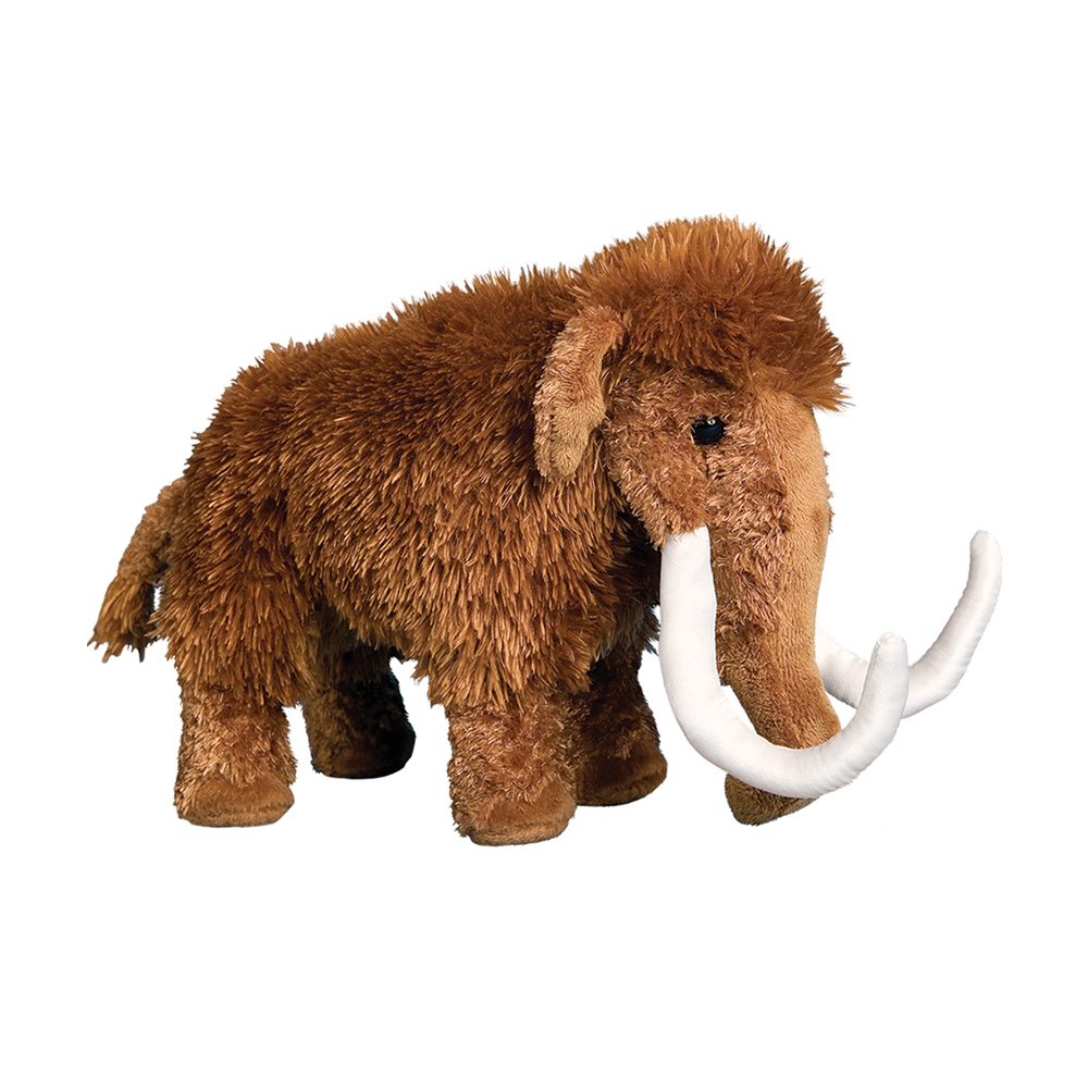 Everett Wooly Mammoth    