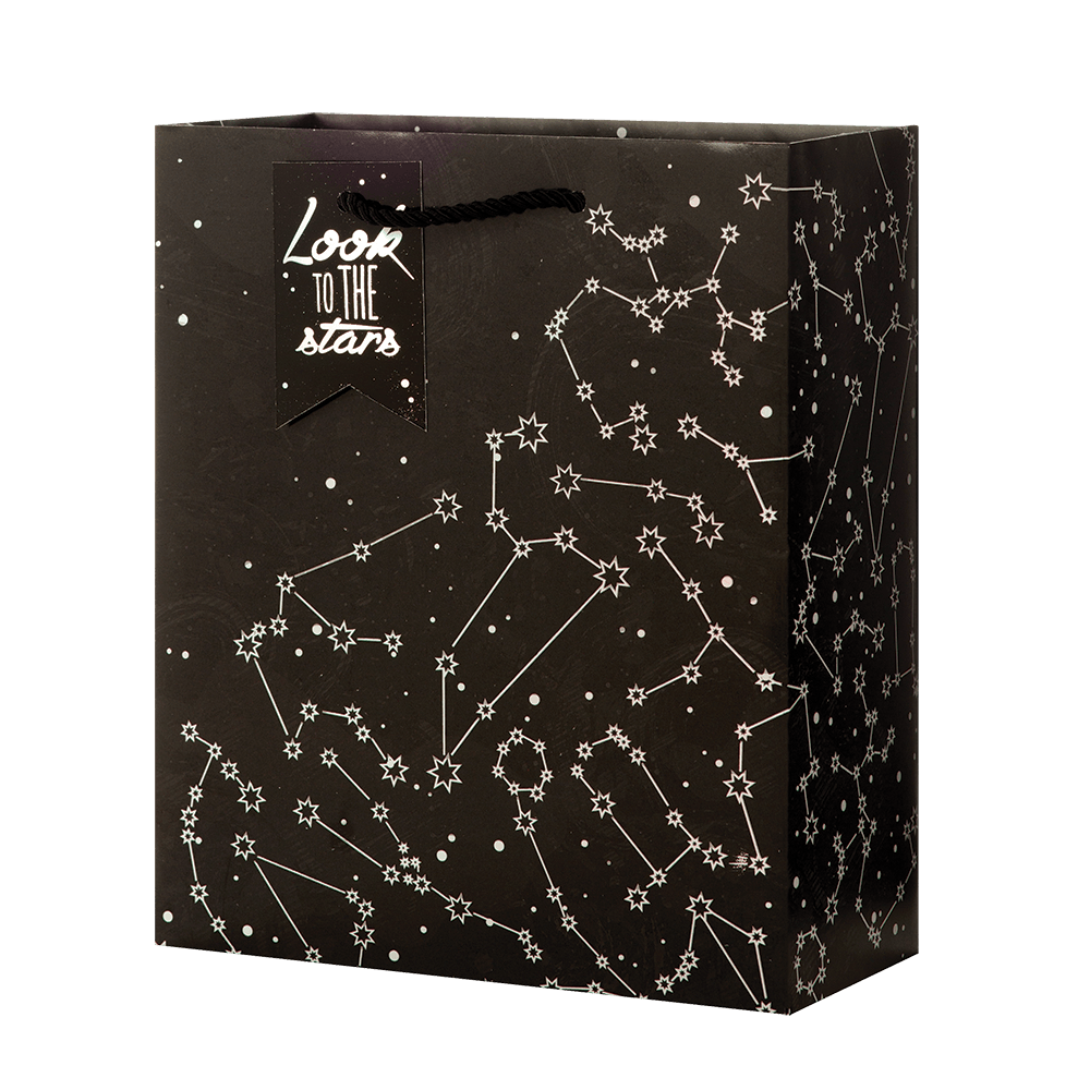 Zodiac - Medium Gift Bag    