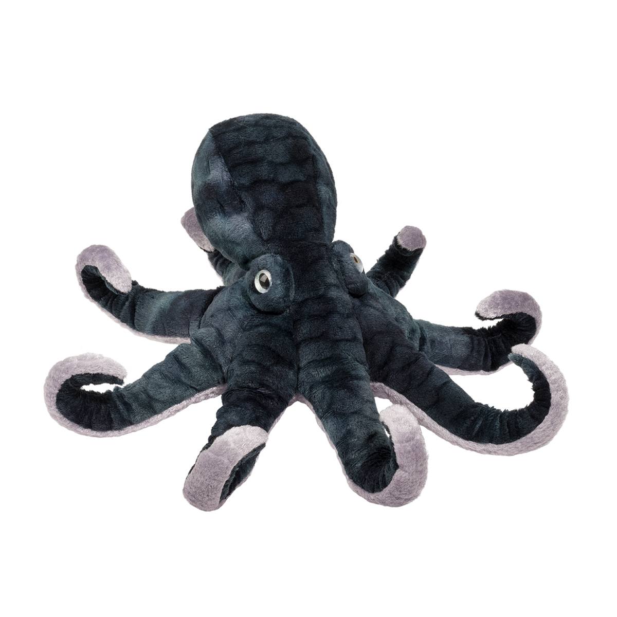 Winky Octopus    